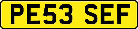 PE53SEF
