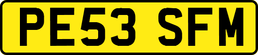 PE53SFM
