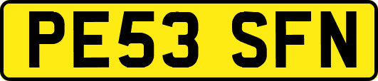 PE53SFN
