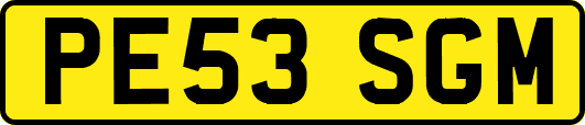 PE53SGM