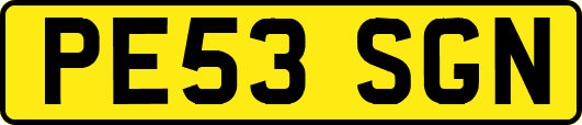 PE53SGN