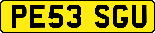 PE53SGU