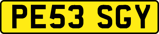 PE53SGY