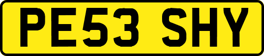 PE53SHY