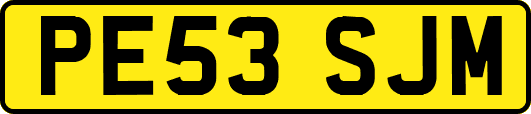 PE53SJM