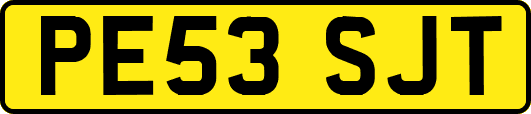 PE53SJT