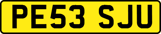 PE53SJU