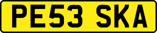 PE53SKA
