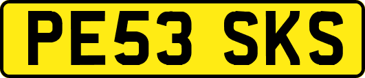 PE53SKS
