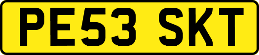 PE53SKT