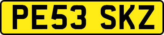PE53SKZ