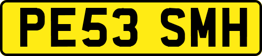 PE53SMH