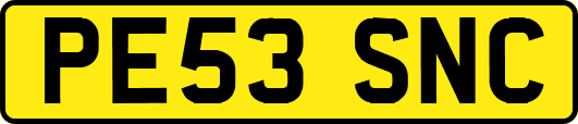 PE53SNC