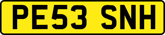 PE53SNH