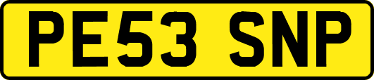 PE53SNP