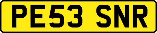 PE53SNR