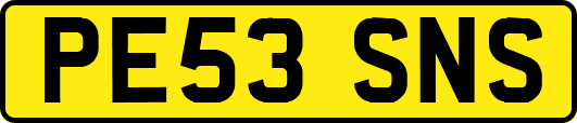 PE53SNS