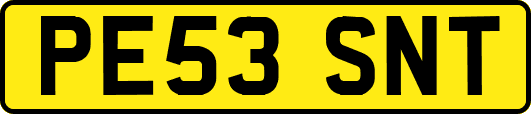 PE53SNT