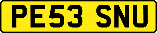 PE53SNU
