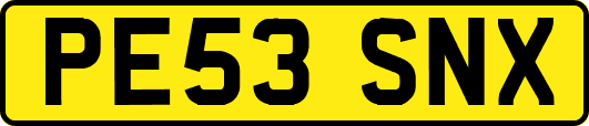PE53SNX