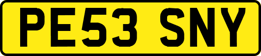 PE53SNY