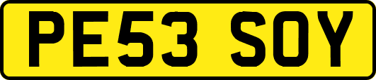 PE53SOY