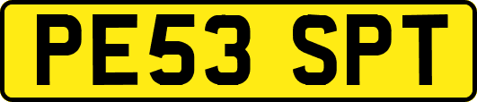 PE53SPT