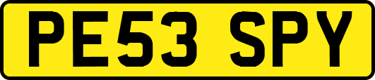 PE53SPY