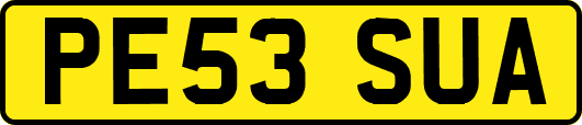 PE53SUA