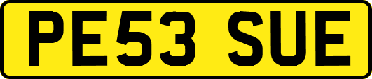 PE53SUE