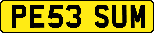 PE53SUM