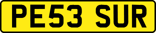 PE53SUR