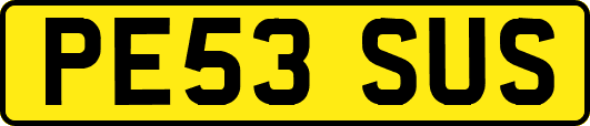 PE53SUS