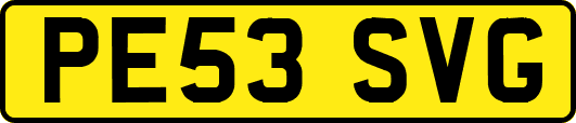 PE53SVG