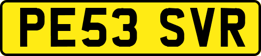 PE53SVR
