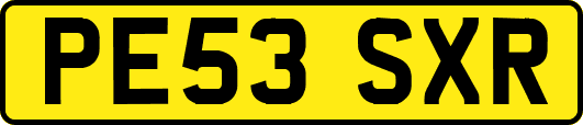 PE53SXR