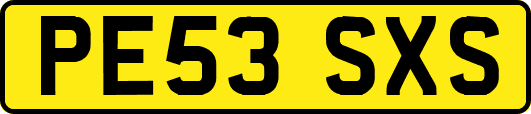 PE53SXS