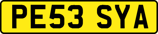 PE53SYA