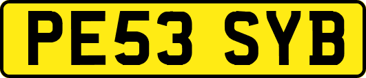 PE53SYB