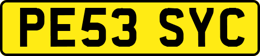 PE53SYC