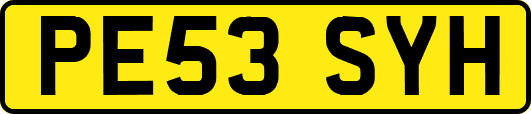 PE53SYH
