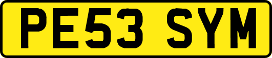 PE53SYM