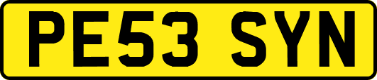 PE53SYN
