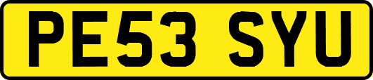 PE53SYU