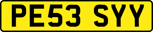 PE53SYY