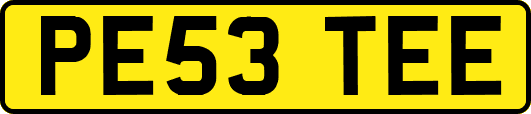 PE53TEE