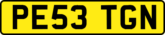 PE53TGN