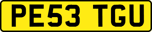 PE53TGU