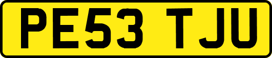 PE53TJU