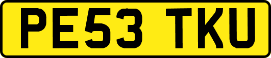 PE53TKU